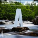 GW Harrison - Here Come The Drums (Radio Edit)