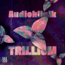 Audioklinik - Third Dimension