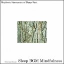 Sleep BGM Mindfulness - Deep Connection with Neural Harmony and Mental Tranquility