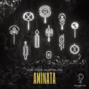 HUNTER (TN), TONI SIZER - Aminata (Extended Mix)