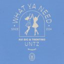 Trentino & Avi Sic - UNTZ (Extended Mix)