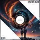 Ignatius Wang - Desire (Instrumental Mix)