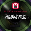 AY YOLA & Ummet Ozcan - Xanadu Homay (DJRICCO REMIX)