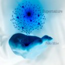 Pako Mike - Supernature (radio)