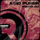 Acid Purrr - Gonna Do ()