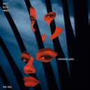 SKIY - Celestial Gate (ELIF (TR) Extended Remix)
