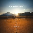 The Ambientalist - Find The Way ()