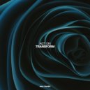 ACT ON - Transform (Original Mix)