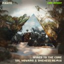 Panté - Wired To The Core (Sol Novaro & Oneness Remix)