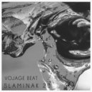 Vojage Beat - Slaminak 20 (Original Mix)