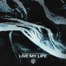 Nicky Romero, DubVision ft. Oaks - Live My Life