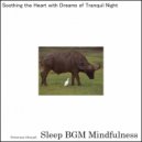 Sleep BGM Mindfulness - Serenades of the Heart for Mental Wellness and Peace (Original Mix)