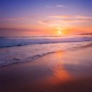 Guitar Player Institute & Hawaiian Steel Guitar & New York City Guitar Orchestra - Surreal Vistas ()