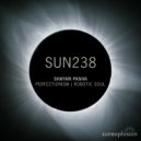 Shayan Pasha - Robotic Soul (Original Mix)