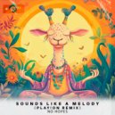No Hopes - Sounds Like A Melody