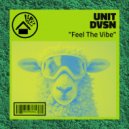 Unit DVSN - Feel The Vibe (Original Mix)