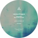 LibriumProject - Random Solutions (Original Mix)