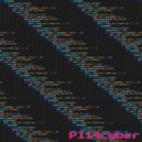 pi14cyber - Костыль ()