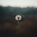 zhocott. - Bleakwarm ()