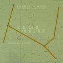 Ronnie Minder - Canis Major (Original Mix)