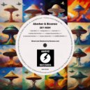 Aberber & Bicaneo - SKY HIGH (Gradex Ambient Mix)