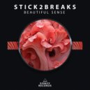 Stick2Breaks - Beautiful Sense ()