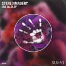 Stereoimagery - Nocturnal Sweet (Original Mix)