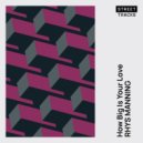 Rhys Manning - How Big Is Your Love (Original Mix)