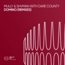 Mully, Shvman & Dare County - Domino (Borena Remix)