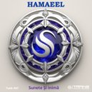 Hamaeel - Prezența Ta (Original Mix)