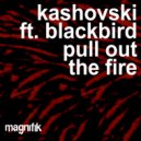 Kashovski feat. blackbird - Pull Out The Fire (Original Mix)