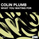 Colin Plumb - WHAT YOU WAITING FOR (Original Mix)