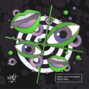 Wh0 & Sam Frandisco - In My Soul (Extended Mix)