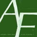 Oliver Claridge & Animal Feelings - Flight Home ()