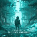 Pelengas - The Space Wanderer (Original Mix)