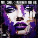 Ahmet Sendil - Something For Your Soul ()