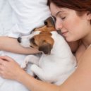 Simple Lo-Fi & Relax My Dog Music & Puppy Music Dreams - Lofi Bliss for Dreams Energies ()