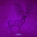 Beta Function - Solar Circuit (Original Mix)
