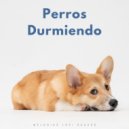 Lo-Fi para dormir & RW Cachorro durmiendo & Melodías para Perros - Ritmos Con Alma ()