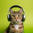 Música para Gatos Dormidos & Secreto Ser Feliz Academy & Gato dormido - Descansando Junto A La Ventana ()