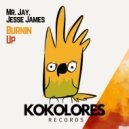 Mr Jay & Jesse James - Burnin Up (Radio Edit)