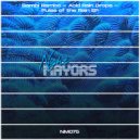 Bambi Rambo - Acid Rain Drops (Extended Mix)