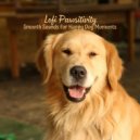 Dog Sleep Academy & Dog Music Library & Happy Music for Dogs - Dog Dreams in Melodies ()
