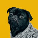 Lofi Hip-Hop Beat & Songs for Dogs to Sleep To & Canine Soothness - Gentle Whisker Whisper ()