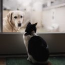 Lo-fi Pop Sounds & Pet Music Therapy & LoFi pet - Lofi Sounds for Pets ()
