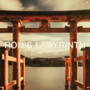 Ron\'s Labyrinth - Tenchu (Hardenbrook Remix)