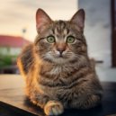 Catching Sleep & Sunday Morning Music & Chakra Sound Bath - The Sound Of A Purr That Brings Peace ()