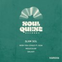 Slxm Sol - Molecular (Original Mix)