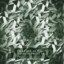 Frankie Serious - Asix.A (Original mix)