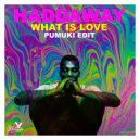 Haddaway - What Is Love